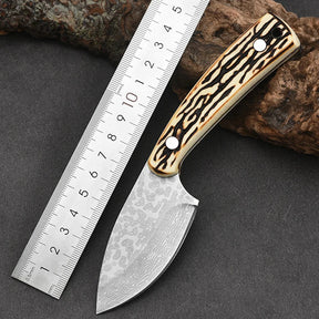 Cuchillo Bone Espartacus + Funda • Cuchillo Portátil Multiuso